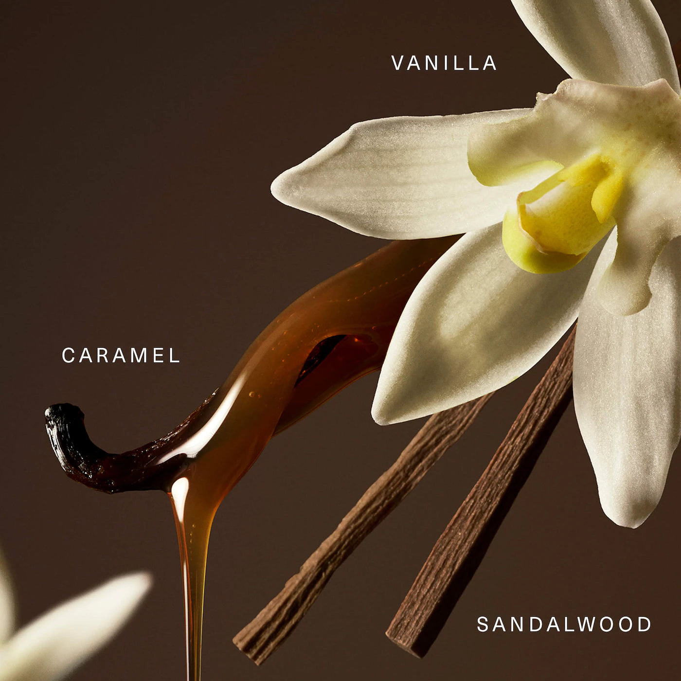Rare Beauty Rare Eau de Parfum – Vanilla & Caramel