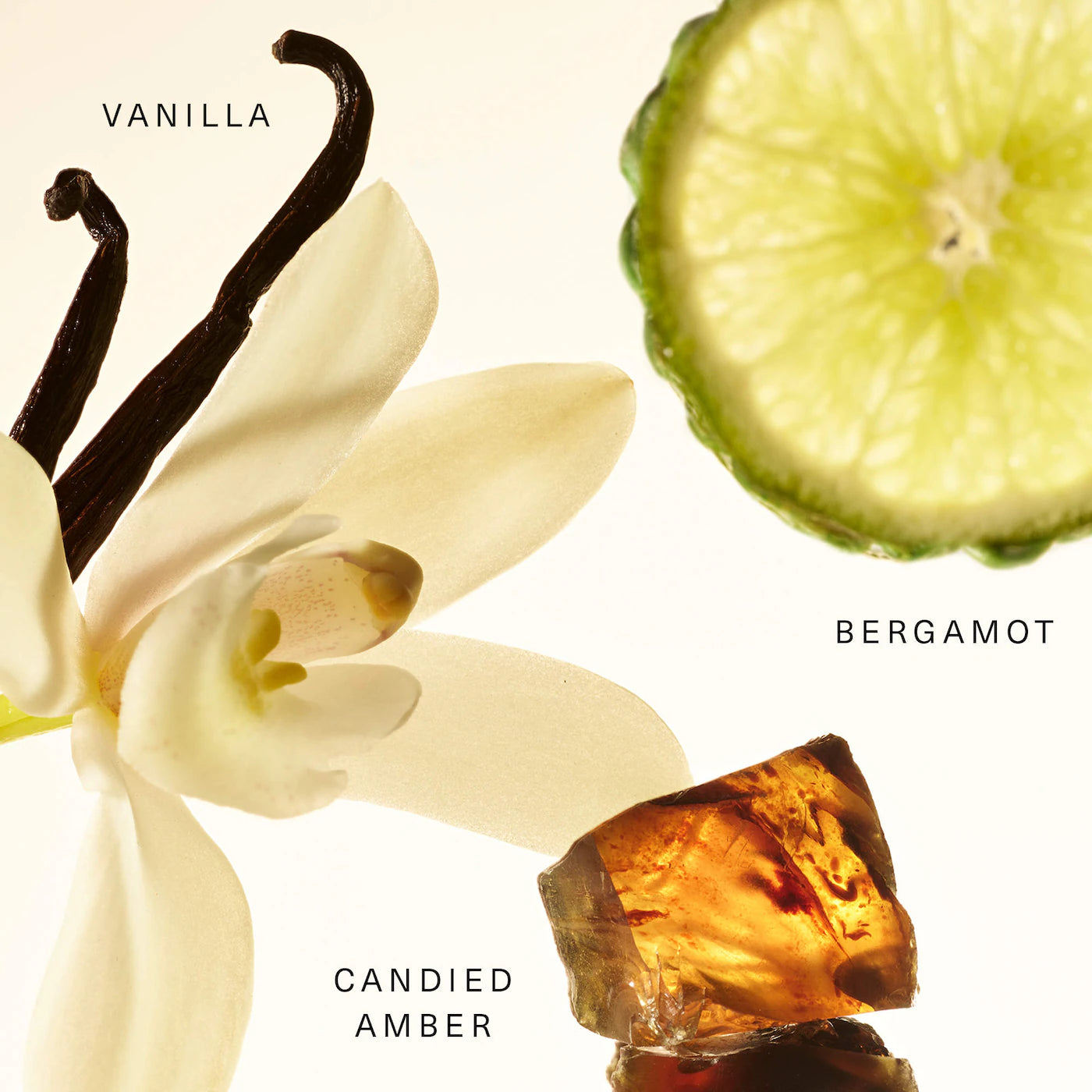 Amber Vanilla Rare Fragrance Layering Balm