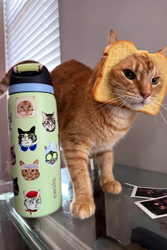 Cat Collage Owala x Urban Outfitters