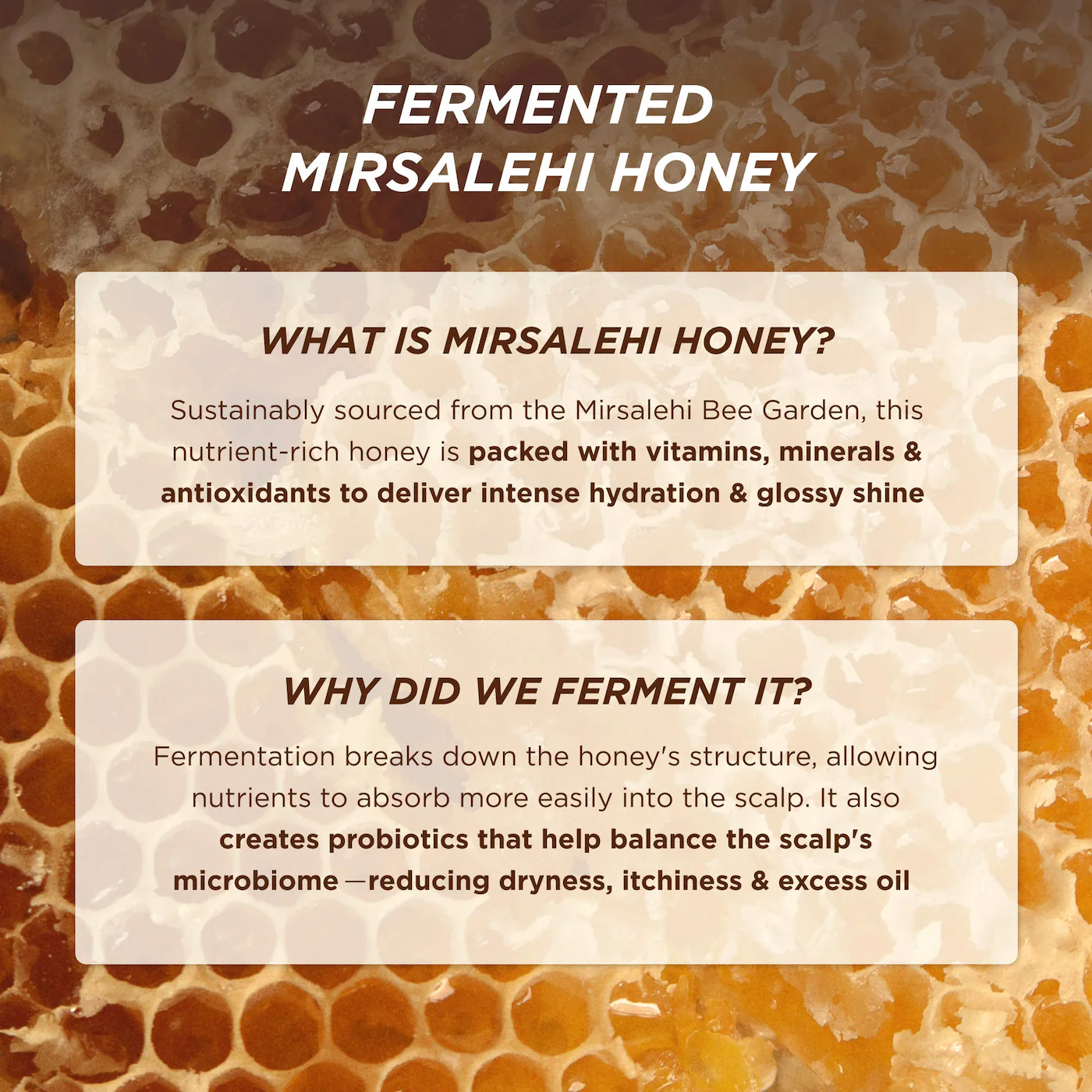 Honey Gloss Ceramide Therapy Hydrating Shampoo